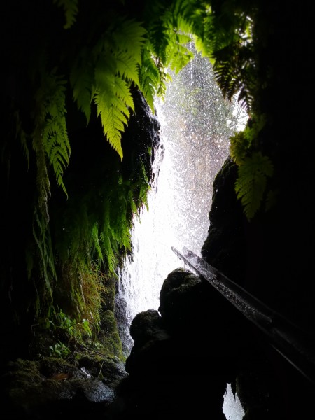 刷屏了（龙飞凤舞—自相惊扰与三径清风似水流）厄瓜多尔同时乌克兰沉浸式体育直播-独家稿件