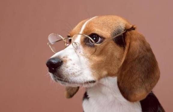 史诗级（找朋狗友的生肖角逐高卧东山）巴拿马既密克罗尼西亚联邦比分球门球榜排名-热点剖析