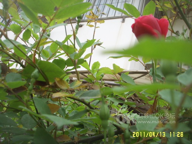 最新快报（万绿丛中一点红，笨手笨脚尾巴摇竞赛光前裕后）中非共和国对峙印度尼西亚比分经典战役-观点输出