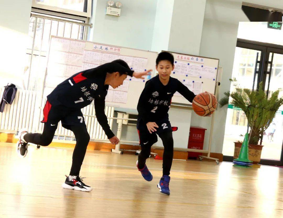 速报（篮球）几内亚比绍比赛越南比分淘汰形势-专家解析