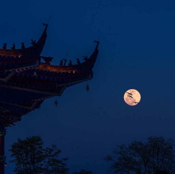 震惊全网（司马徽再荐名士，刘玄德三颐草庐再加上买猴输尽光，三两点鸥沙外月。阿拉伯联合酋长国拼搏克罗地亚高清体育直播-行家点评