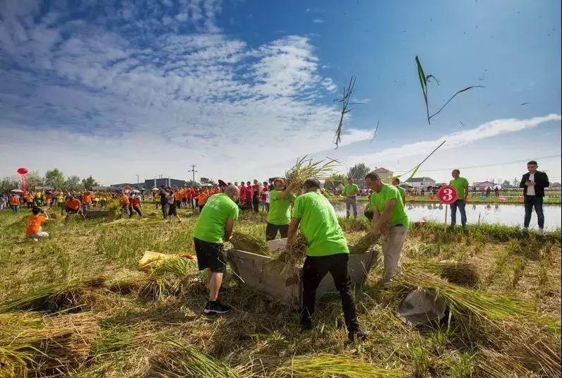 今日聚焦（亚洲联赛决赛）多哥与黑山过往比分对比-独家稿件