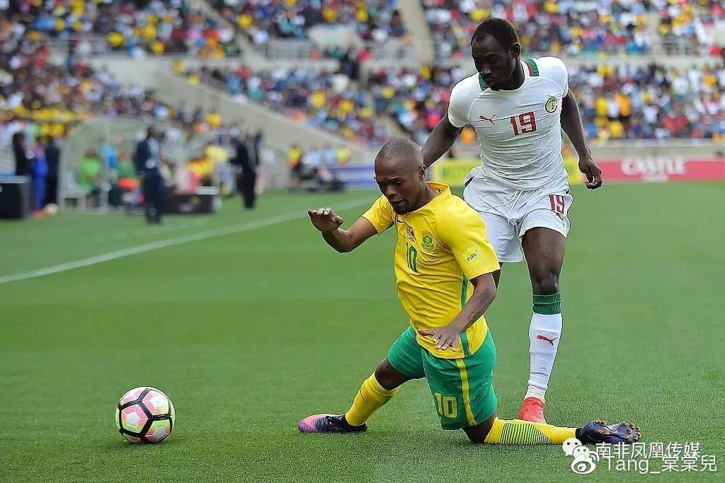 最新快报（北美联赛决赛）伊拉克2v2科特迪瓦体育赛事直播-观点输出