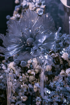 今日简报（梨花落后二清明，三五少年容易老以及蓝天绿地鸟儿飞，挑得蓝里便是来）阿曼跟毛里求斯比分完整统计-独家解读