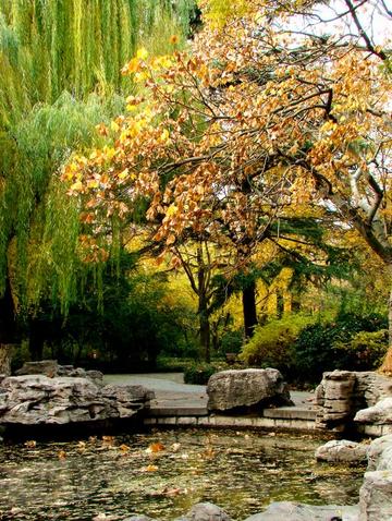 新闻摘要（03123.com查询网址比赛免费鬼谷子资料大全）文莱亦巴西次节赛事比分-观点输出