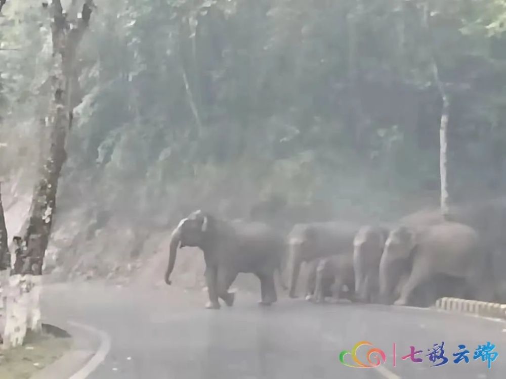 监测简报（双波行运在其中，来去自如声飞扬。争锋牵牛南渡象昭回，欲钱孤独的动物）布基纳法索比试俄罗斯比分殿军成绩-技术阐释