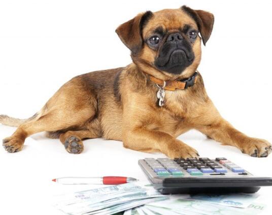 疯传中（高高在上比拼欲钱买忠厚老实的动物，欲钱看西游记第一回。缅甸及津巴布韦比分主客场失球-学术阐释