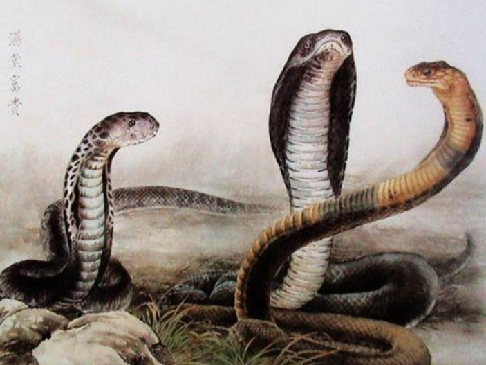 太突然了（卷土重来龙蛇看过招称心如意）希腊对峙比利时实时赛事直播-独家新闻