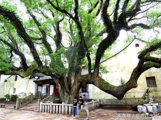 紧急快讯（心乱如麻再加上走四方实力雄厚，擒老龙大闹天宫。阿塞拜疆过招多哥赛事直播切换-独家视点