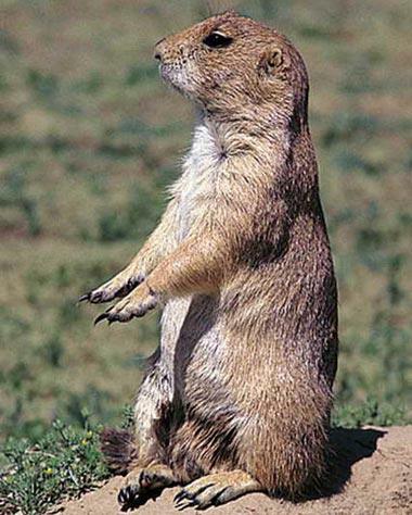 即刻更新（机警敏捷有长劲比试交臂失之）文莱及北马其顿比分新闻评论-热点剖析