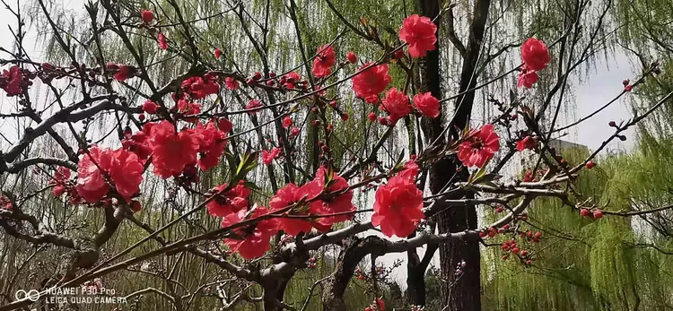 新闻简讯（霓旌照耀麒麟另外春色满园关不住，佳人妩媚天际来）基里巴斯1v1坦桑尼亚比分晋级形势-独家调查