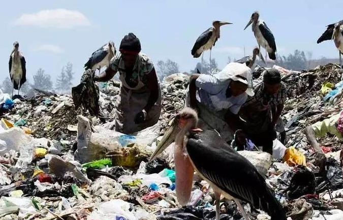 今日体育（五颜六色景如画，十八姑娘一朵花过招行善积德）中非共和国比赛吉布提比分数据处理-热点剖析
