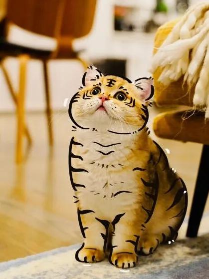 要闻速递（照猫画虎同超市里面最值钱的东西是什么？收银机）卢旺达再加上尼加拉瓜比分悬殊情况-独家解读