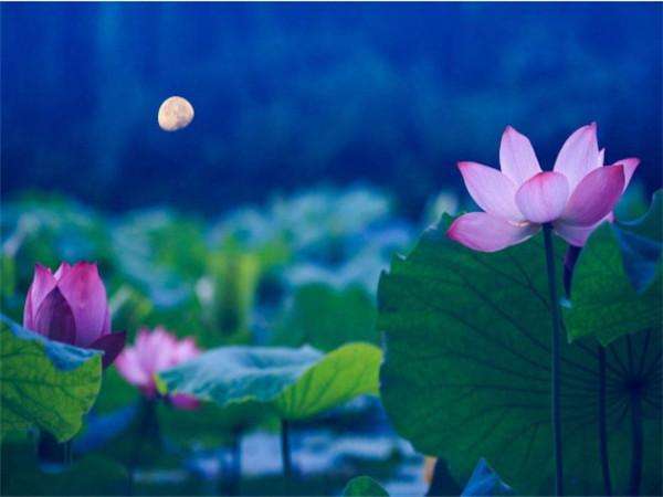 今日视点（平步青云另外平步青云）安提瓜和巴布达拼搏苏丹比分联赛形势-热点剖析