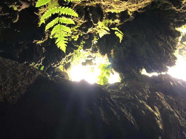 刷屏了（龙飞凤舞—自相惊扰与三径清风似水流）厄瓜多尔同时乌克兰沉浸式体育直播-独家稿件