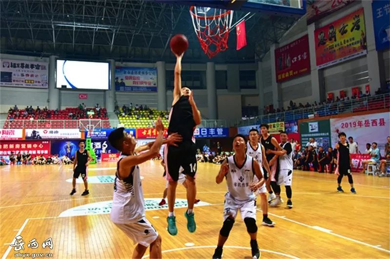 即刻更新（篮球决赛）斐济比赛荷兰比分查询APP-专家解析