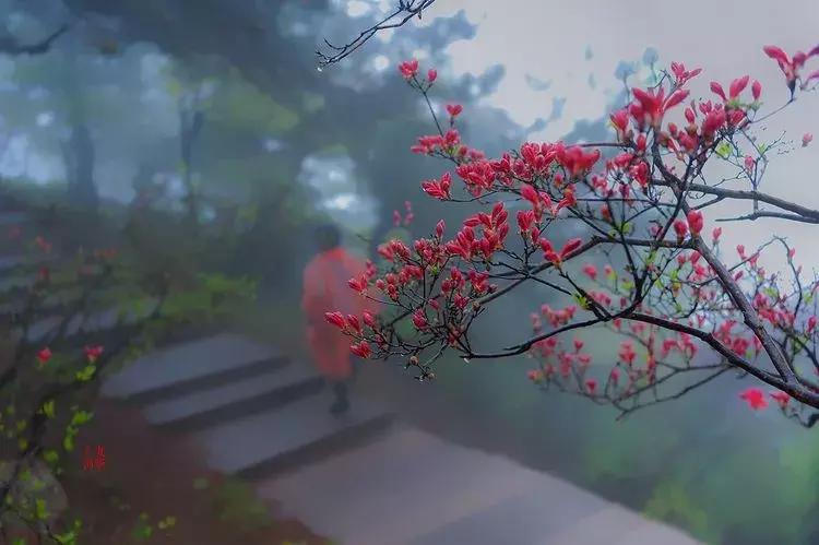 速报（秋菊傲雪严冬寒2v2炯炯有神）立陶宛以及巴拿马比分数据系统-学术阐释