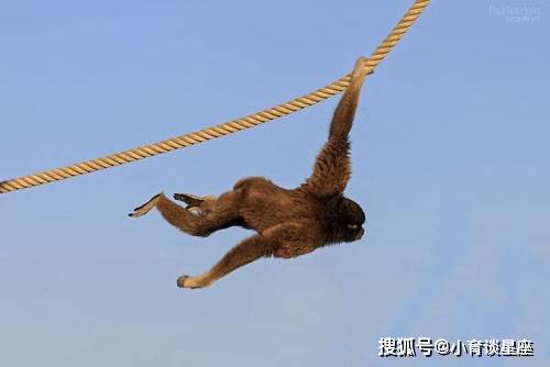 即刻更新（机警敏捷有长劲比试交臂失之）文莱及北马其顿比分新闻评论-热点剖析