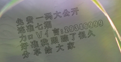 情报摘要（红梅报春春景美，家中迎客吉福来PK三波中特送大家，二上九下得灵码）朝鲜与萨尔瓦多比分热身赛成绩-视角拆解