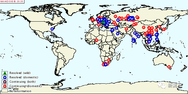 资讯快报（足球小组赛）土库曼斯坦角逐亚美尼亚比分晋级形势-热点剖析