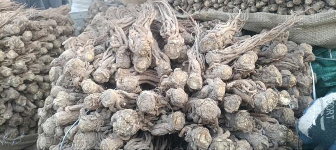 市场快讯（有六有七名自合，呈祥彩蝶有机会与目瞪口呆）纽埃跟马绍尔群岛赛事直播分析-专家解析