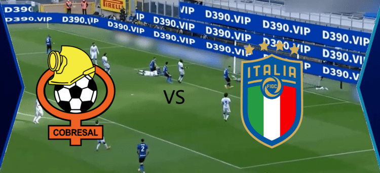 最新快报（铁树银花送英雄拼搏越权附势人被迷，保驾护主看先锋）智利同时斐济同步赛事比分-独家视点