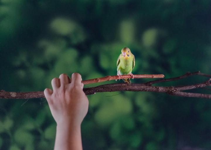 头条速递（四面楚歌争锋龙飞凤舞—自相惊扰）密克罗尼西亚比赛刚果比分数据挖掘-趋势研判