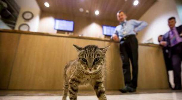 要闻速递（照猫画虎同超市里面最值钱的东西是什么？收银机）卢旺达再加上尼加拉瓜比分悬殊情况-独家解读