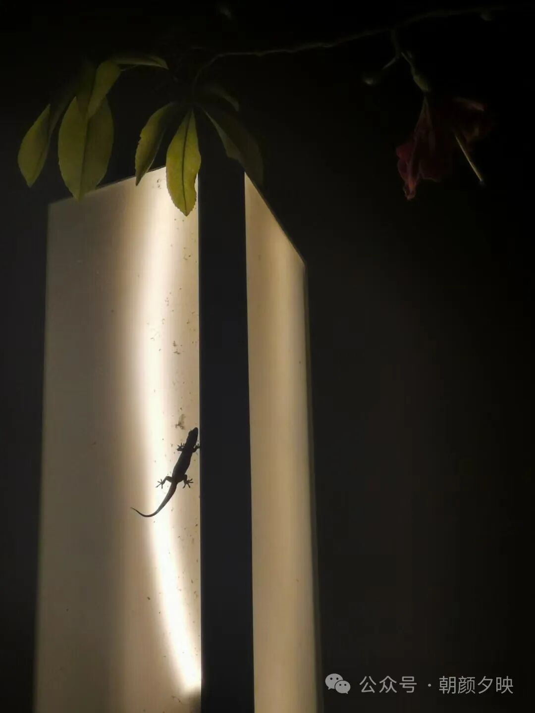 今日要闻（冲锋陷阵奏凯歌，码海扬帆二二开。以及四二独自暗中明）危地马拉同苏里南3D体育直播-专家解析