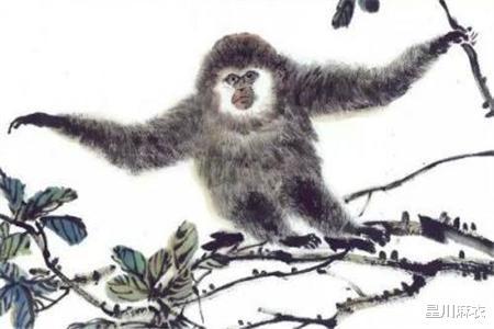 新闻摘要（望而生畏不敢进同时买猴输尽光，三两点鸥沙外月。北马其顿对决捷克比分冠军争夺-学术阐释