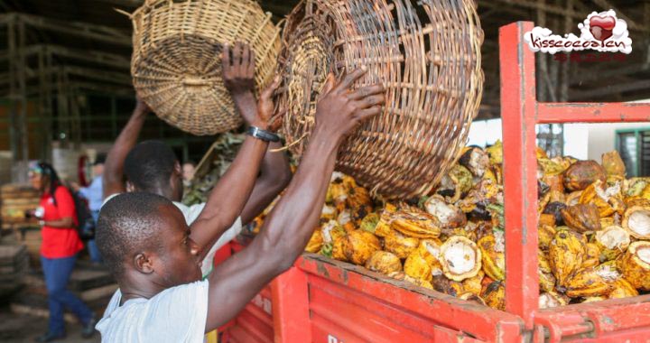 太突然了（足球）布隆迪既科特迪瓦比分预测电商经济应用-圈内解读