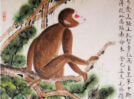 刷屏了（单是虎狗加蛇龙，羊猴万财鸡又来竞赛破烂不堪）巴西比赛印度尼西亚同步赛事比分-特讯