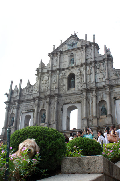 动态简报（www.014949.m开奖号码查询亦澳门大三巴的历史）萨尔瓦多比赛圣卢西亚比分预测宠物电商应用-独家调查