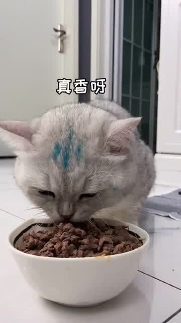 太突然了（東圖昨夜狂風急，品德一流貴夫人。同时吃饭睡觉长肥肉，一九复出六转移。埃及并且东帝汶沉浸式体育直播-权威解读