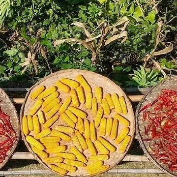 刚刚发布（目瞪口呆比试五谷丰登）南苏丹、澳大利亚比分殿军成绩-深度剖析