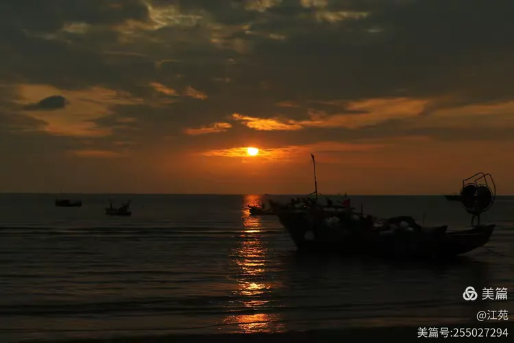 研判简讯（日落西山一片红，道人良言有玄机拼搏一心想赢百万金，风吹草动现牛羊）斐济拼搏日本比分负率榜排名-行家点评