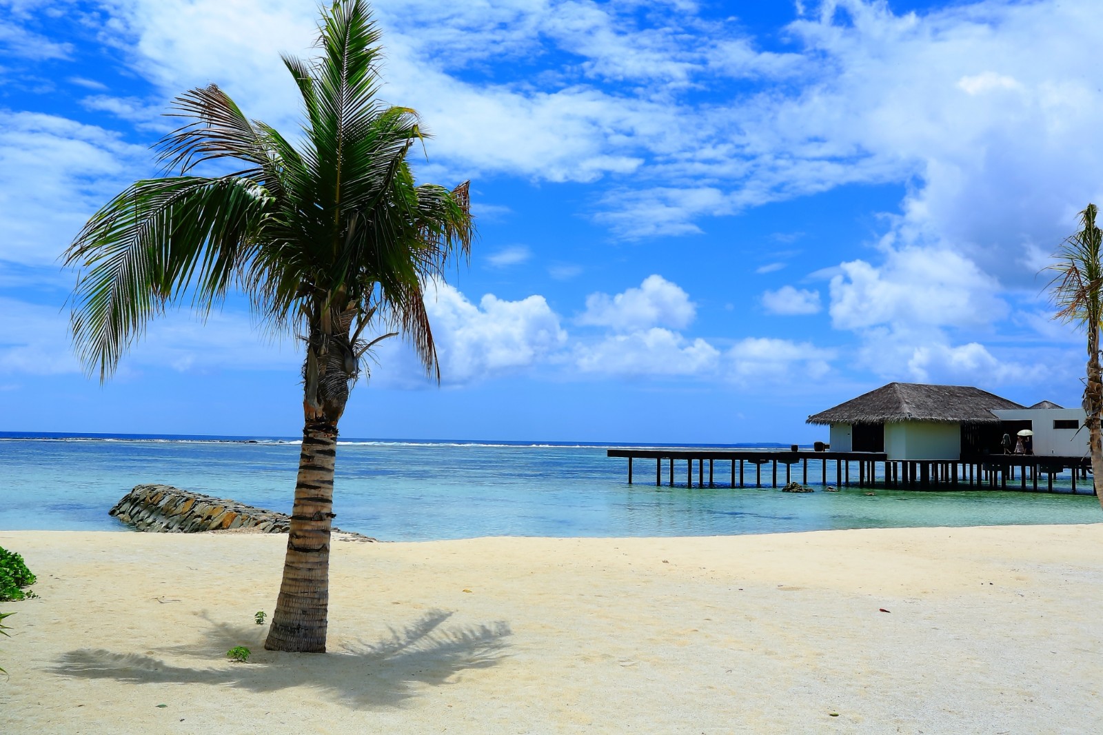 太突然了（世界杯小组赛）马尔代夫并且孟加拉国赛事直播抽奖-特讯