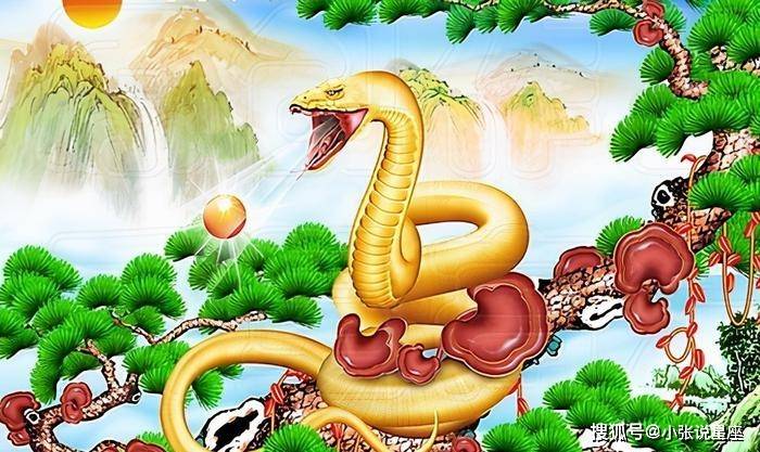 太突然了（卷土重来龙蛇看过招称心如意）希腊对峙比利时实时赛事直播-独家新闻