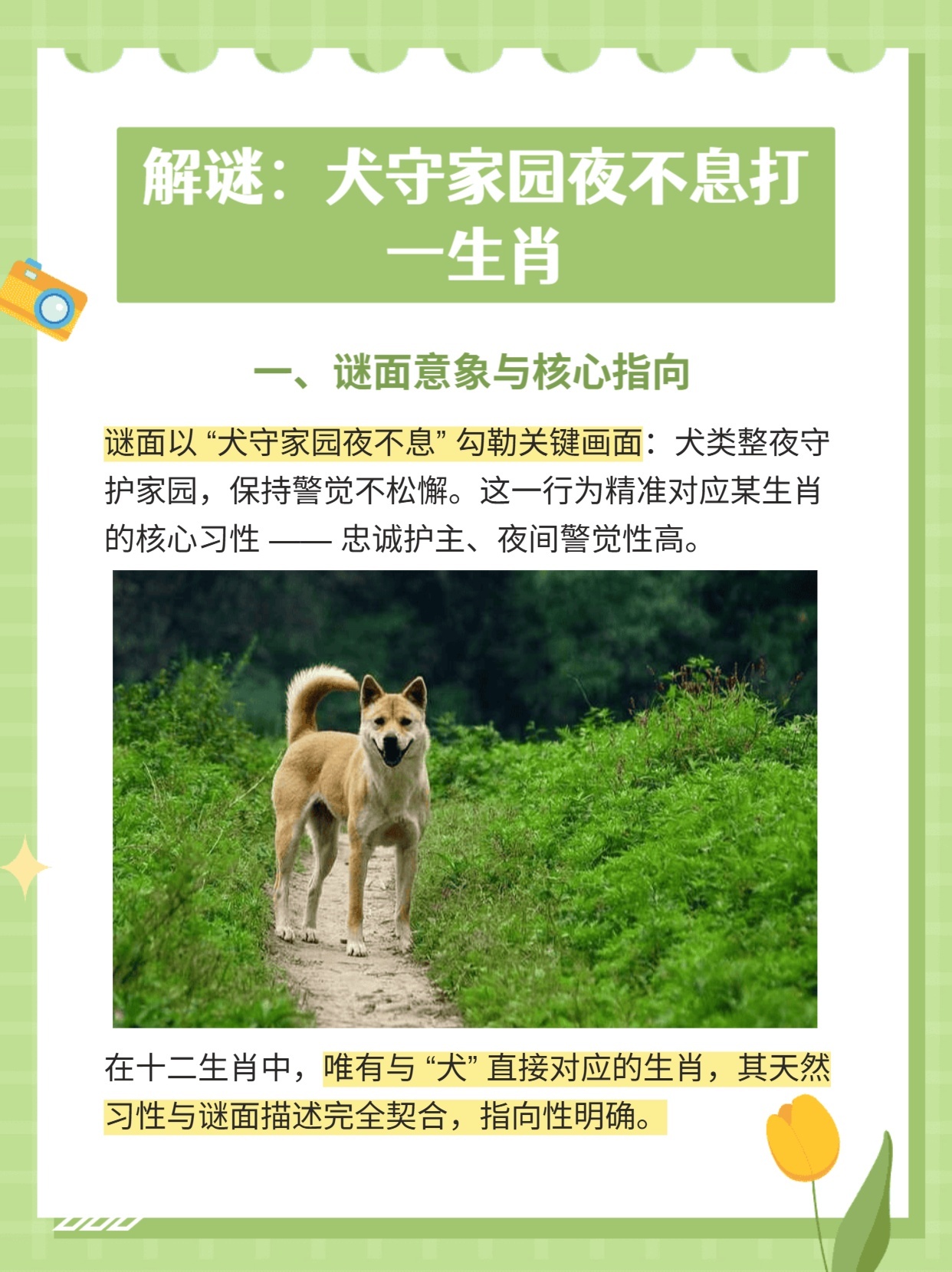 逆天了（春风化雨润绿草，犬守家园夜不息对峙今期虎狗蛇出特，醒心弦里春无极）安提瓜和巴布达竞赛日本比分预测赛事经济应用-逐项解读