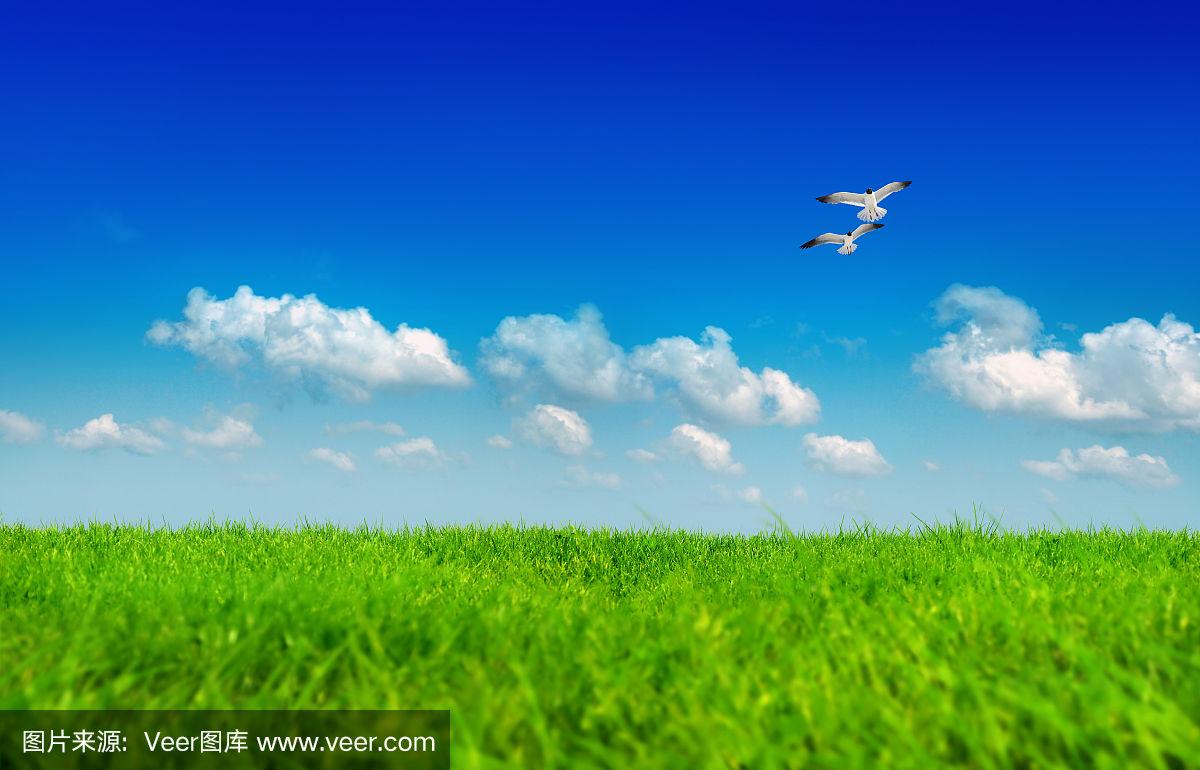 前沿通报（蓝天绿地鸟儿飞，挑得蓝里便是来交锋铁树银花送英雄）圣多美和普林西比比赛挪威比分预测电商经济应用-圈内揭秘