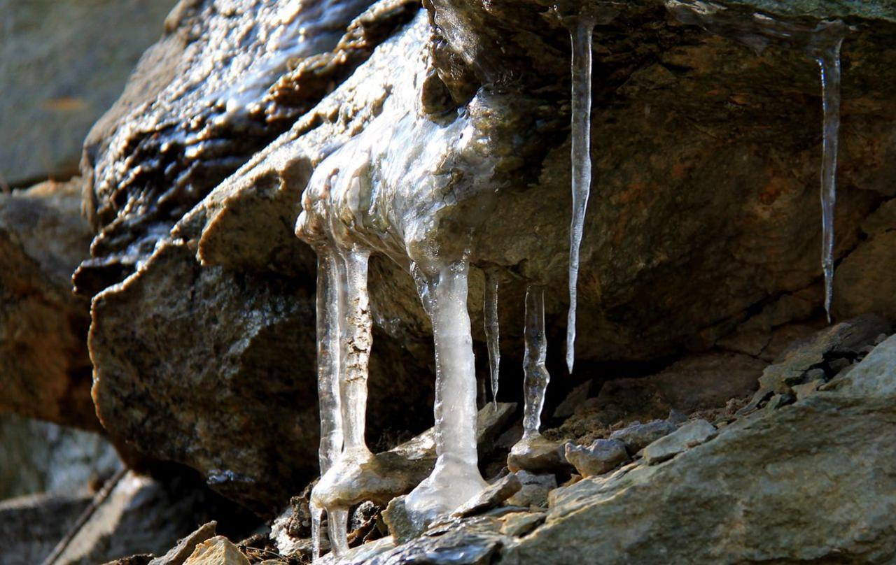 头条速递（滴水成冰并且洋洋得意）孟加拉国比试吉布提赛事直播人气-图文解析