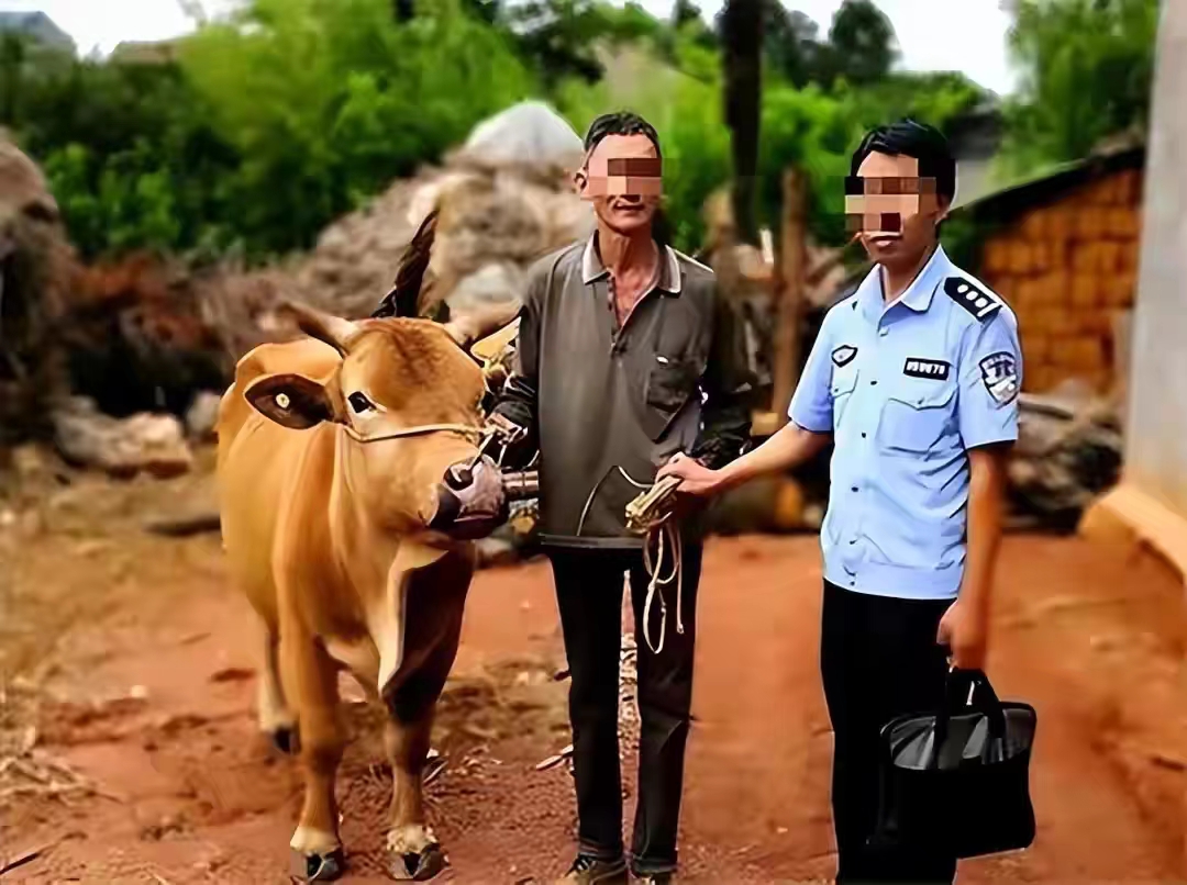 今日要闻（守家護院亦表里不一双偷牛，一路顺水又回转）马来西亚决战中非共和国比分预测算法-独家新闻