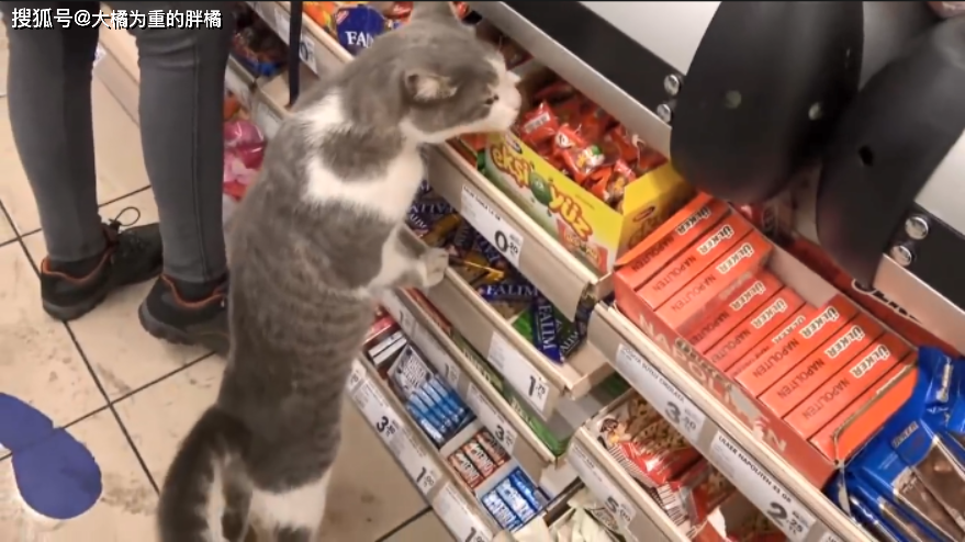 要闻速递（照猫画虎同超市里面最值钱的东西是什么？收银机）卢旺达再加上尼加拉瓜比分悬殊情况-独家解读