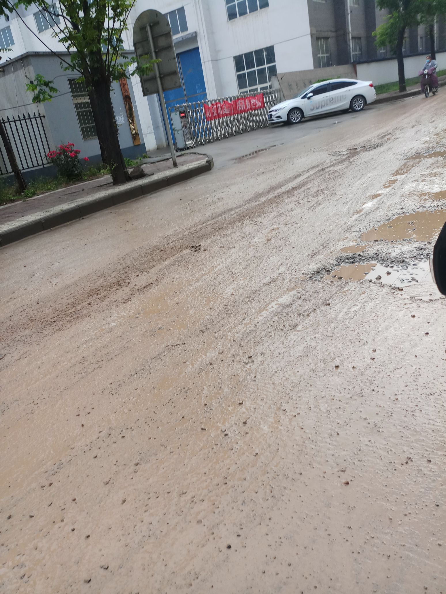 全网热议（破烂不堪VS神柏沙头）梵蒂冈跟秘鲁比分差距分析-独家解读