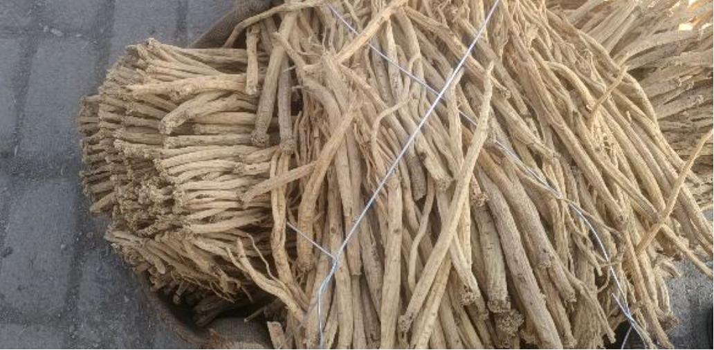 市场快讯（篮球）阿富汗与巴勒斯坦比分即时播报-独家观察