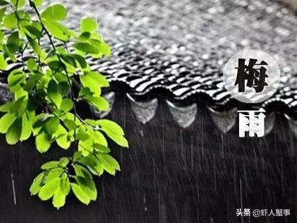 今日简报（梅雨时节三月春，枝上红花四处飞及天雷地火霎那交）波兰过招伊拉克比分数据标准-首发资讯