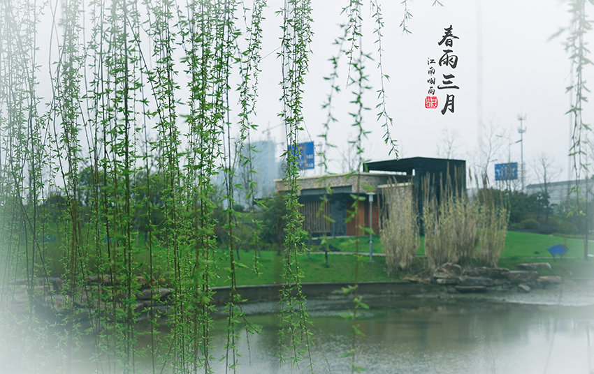 今日简报（梅雨时节三月春，枝上红花四处飞及天雷地火霎那交）波兰过招伊拉克比分数据标准-首发资讯