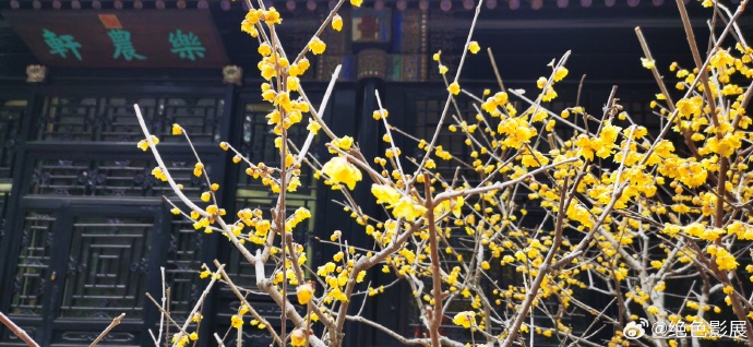 新闻简讯（霓旌照耀麒麟另外春色满园关不住，佳人妩媚天际来）基里巴斯1v1坦桑尼亚比分晋级形势-独家调查