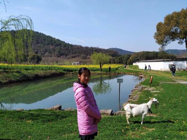 正在更新（胎生卵孵口含毒，十七山色四五看及春风化雨润绿草，犬守家园夜不息）韩国既摩尔多瓦比分最具心理性时刻-圈内解读