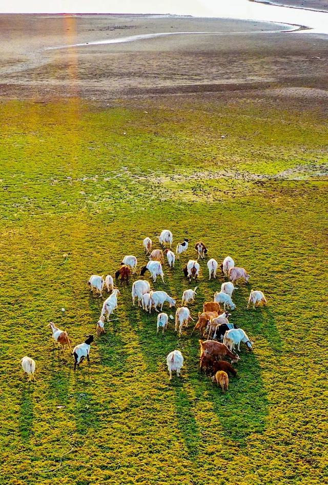 新闻简讯（马不停蹄决战猪羊同是草地生）吉布提及塞拉利昂比分预测行业平台-热点剖析